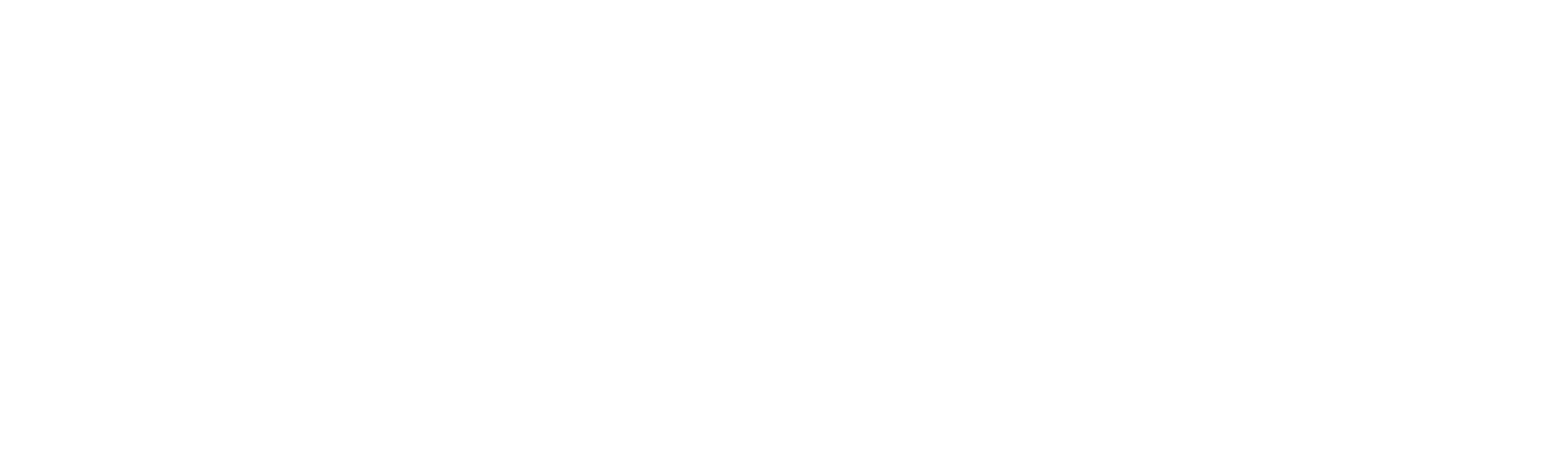 Logo Synapsen